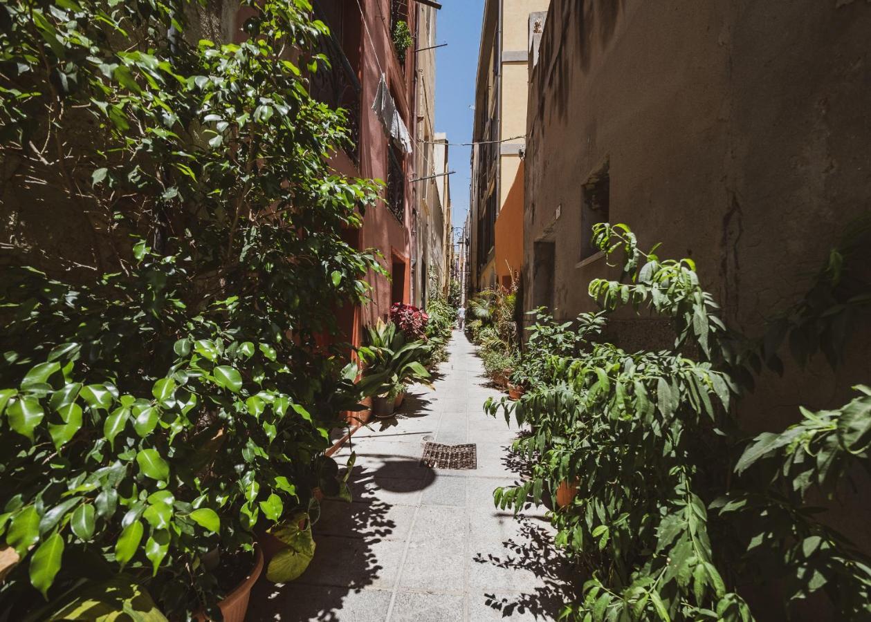 Appartamento Maestrale - Quartiere Castello Cagliari Eksteriør billede