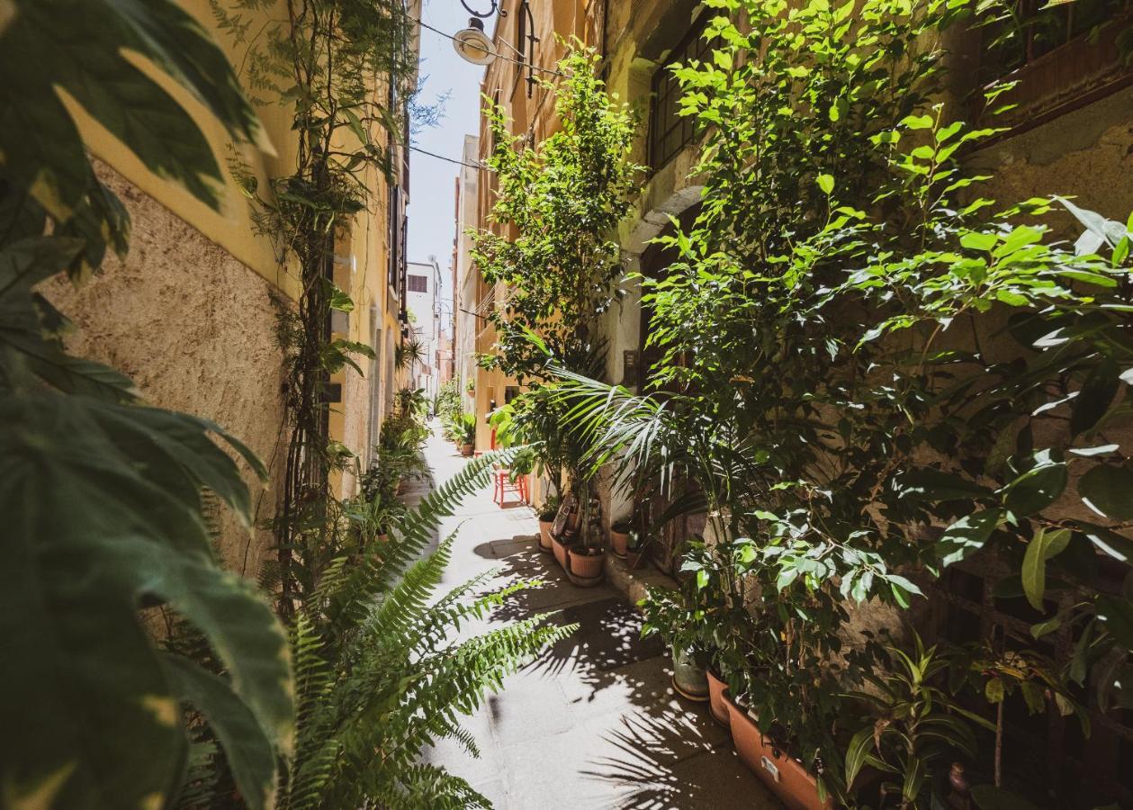 Appartamento Maestrale - Quartiere Castello Cagliari Eksteriør billede
